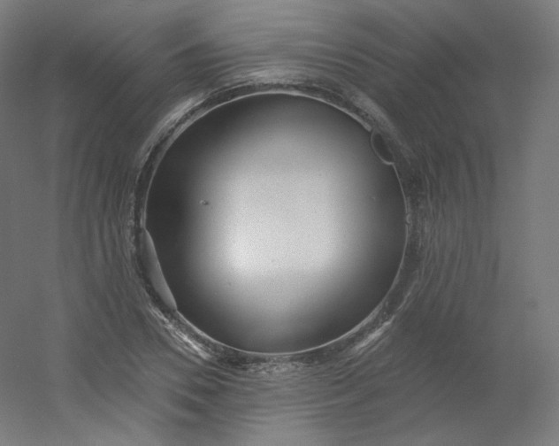 X0000054360930200508121510
