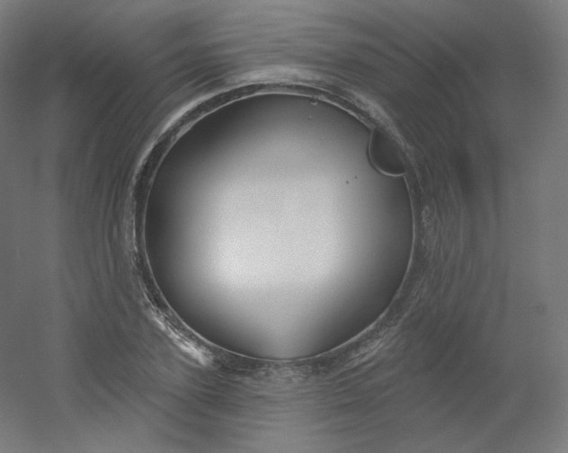 X0000054360931200508121510
