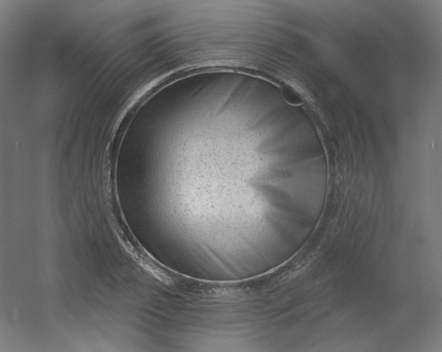 X0000054360933200508121510