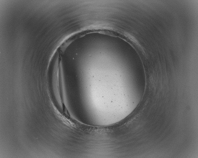 X0000054360934200508121510