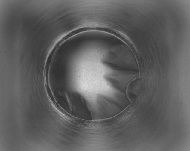 X0000054360935200508121510