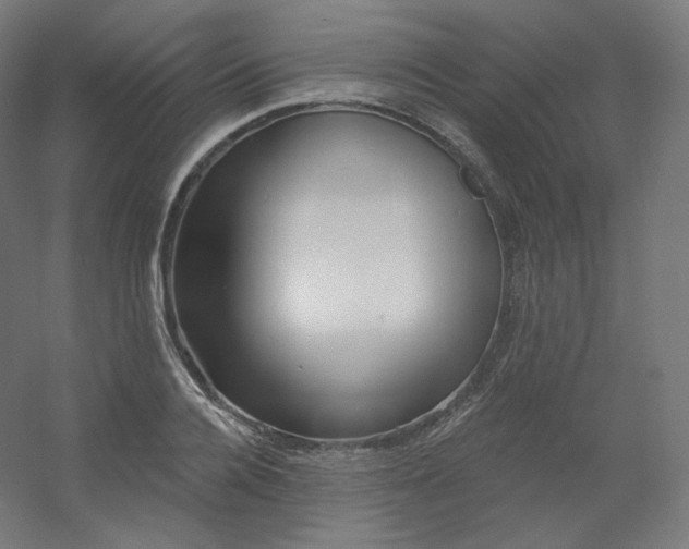 X0000054360936200508121510