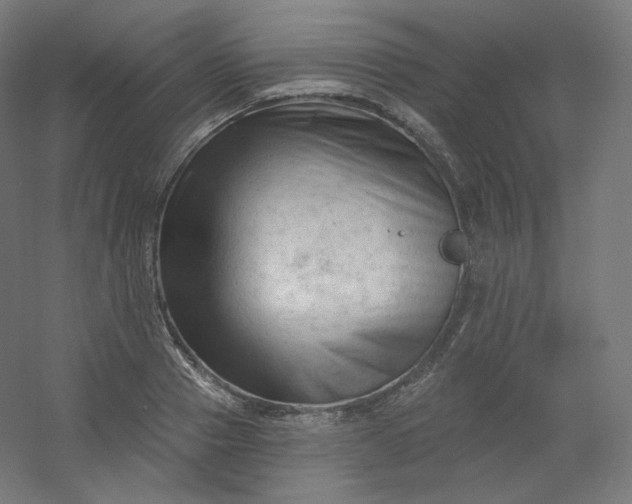 X0000054360937200508121510