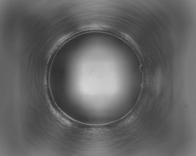 X0000054360938200508121510