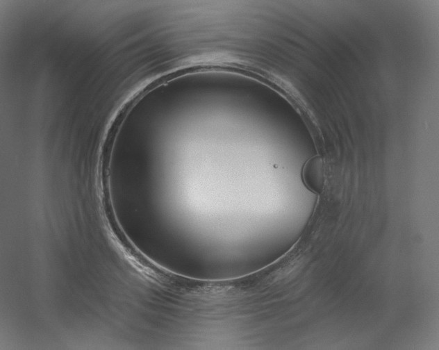 X0000054360939200508121510