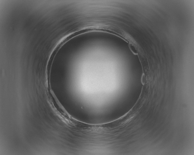 X0000054360940200508121510