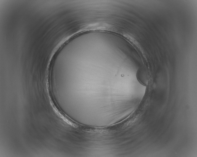 X0000054360941200508121510