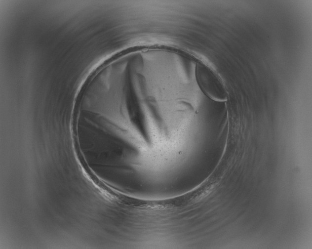 X0000054360943200508121510