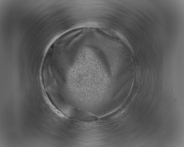 X0000054360944200508121510