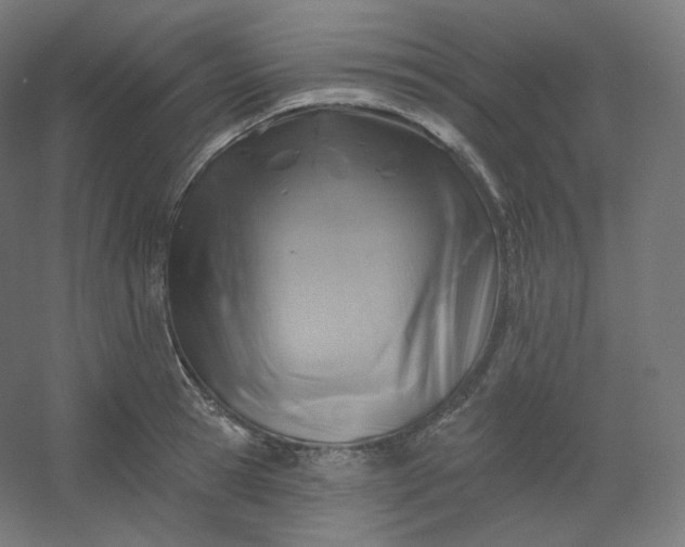 X0000054360945200508121510