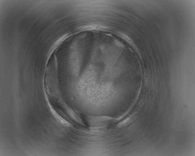 X0000054360946200508121510