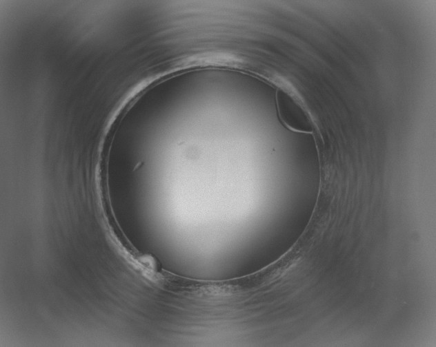X0000054360947200508121510