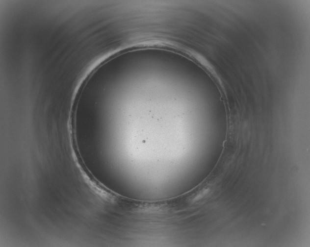 X0000054360951200508121510