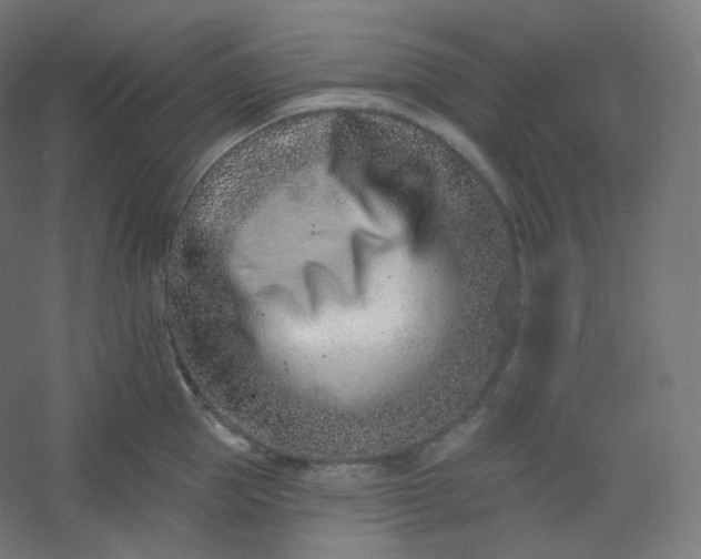 X0000054360953200508121510