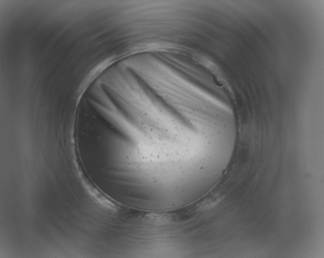 X0000054360954200508121510