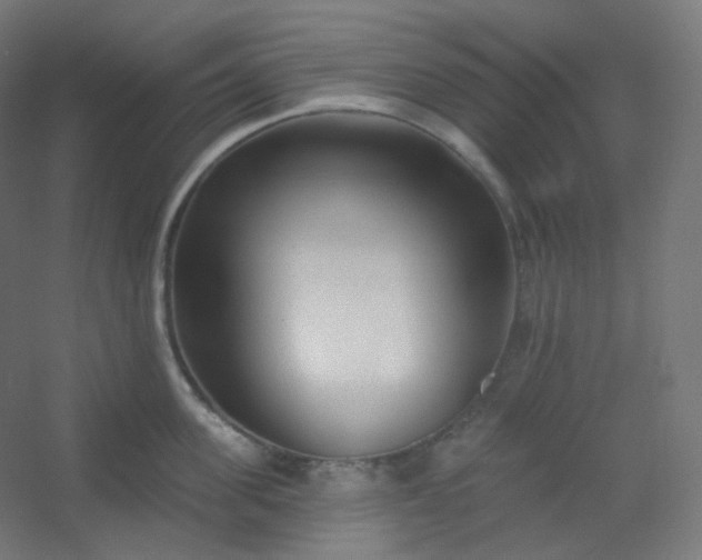 X0000054360955200508121510