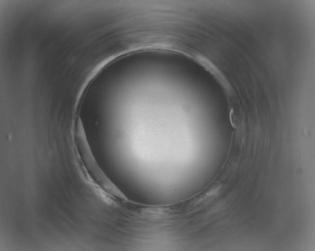 X0000054360956200508121510