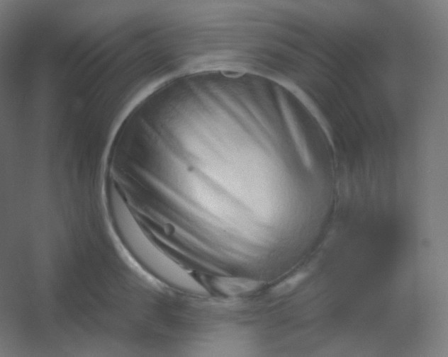 X0000054360957200508121510