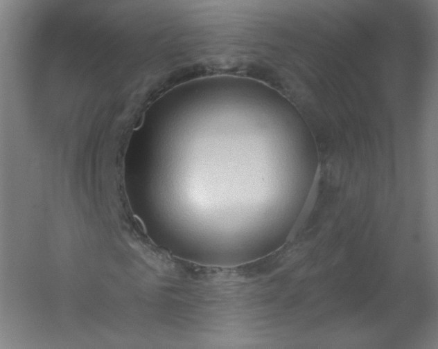 X0000054360961200508121510