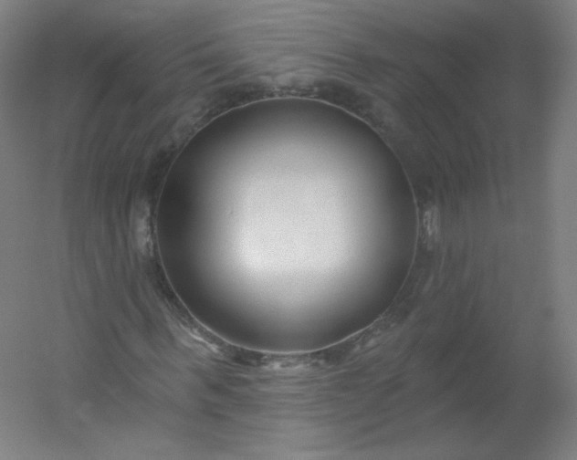 X0000054360963200508121510