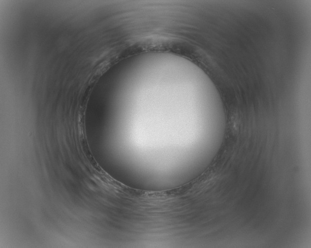 X0000054360964200508121510