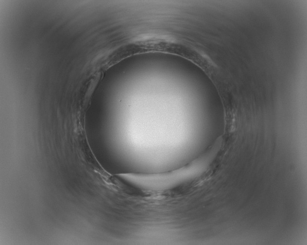 X0000054360965200508121510