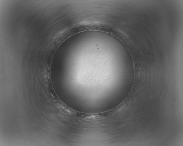 X0000054360966200508121510