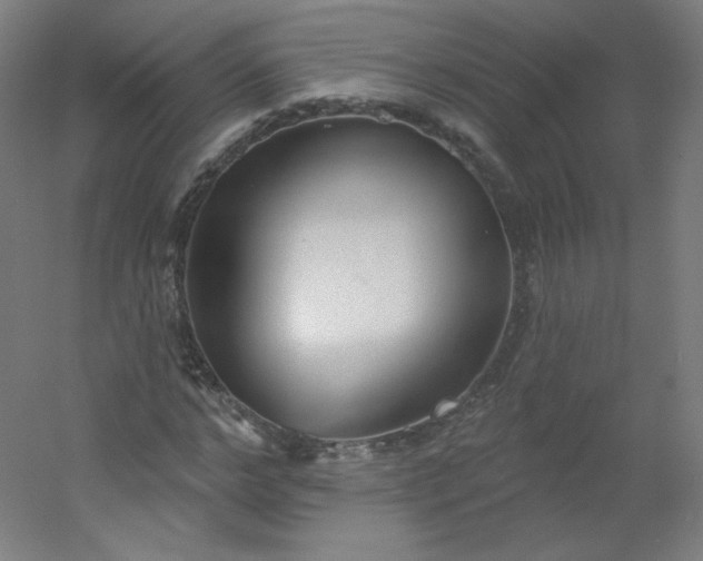 X0000054360968200508121510