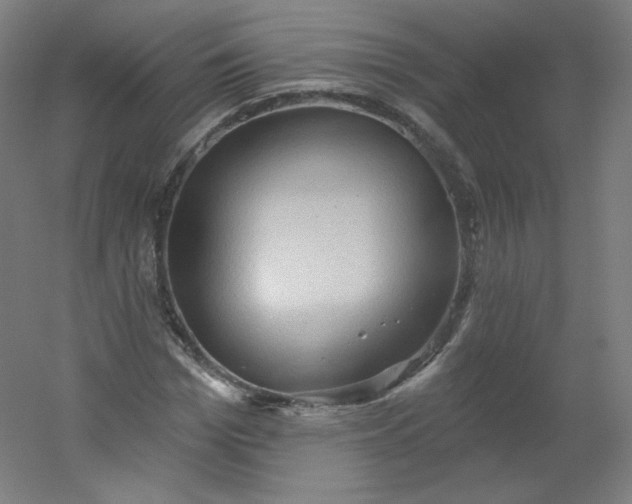 X0000054360969200508121510