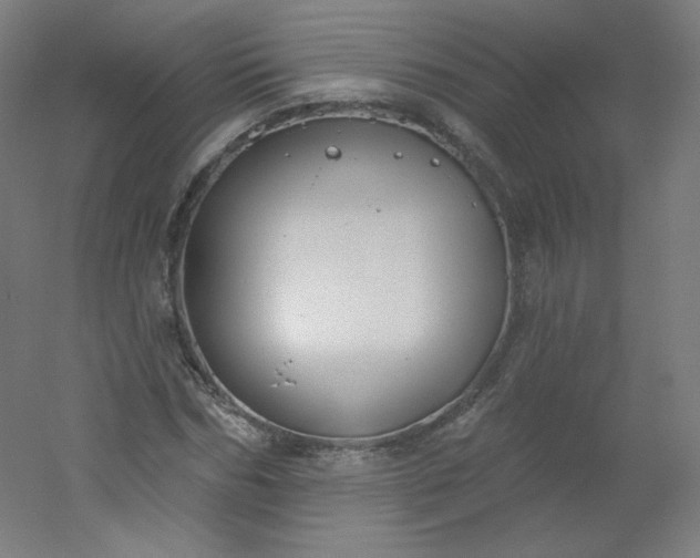 X0000054360970200508121510
