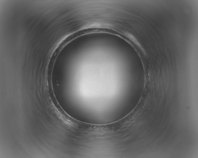 X0000054360972200508121510