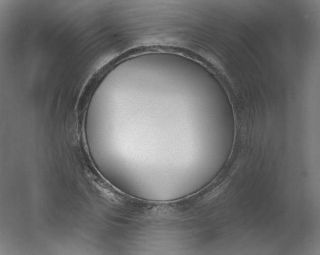 X0000054360974200508121509