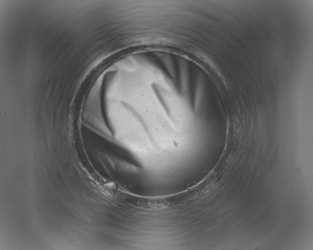 X0000054360975200508121509
