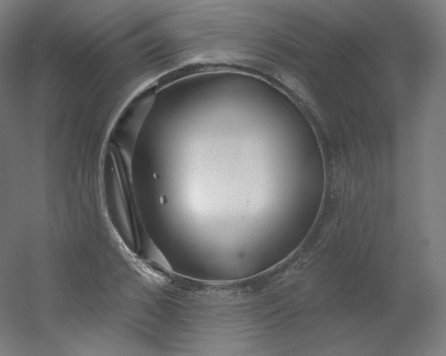 X0000054360976200508121509
