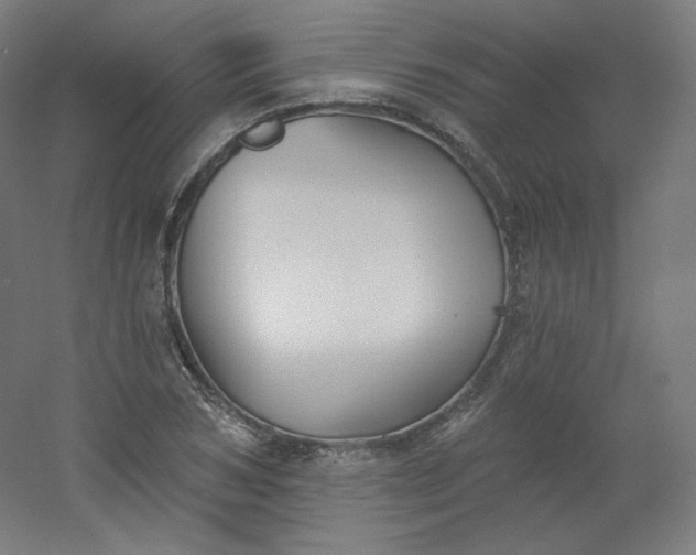 X0000054360978200508121509