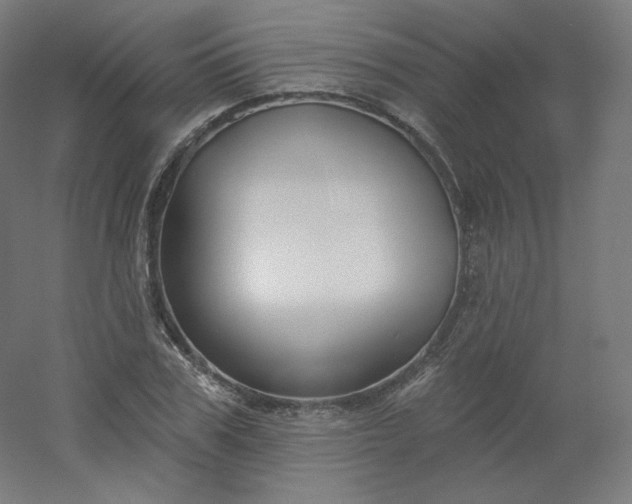 X0000054360979200508121509