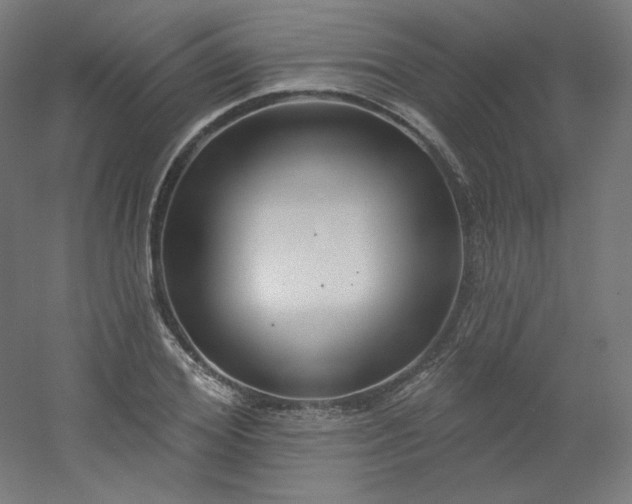 X0000054360980200508121509