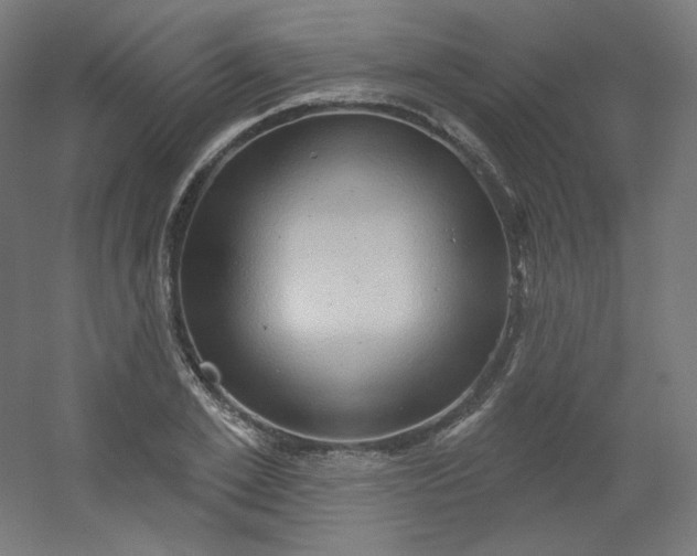 X0000054360981200508121509