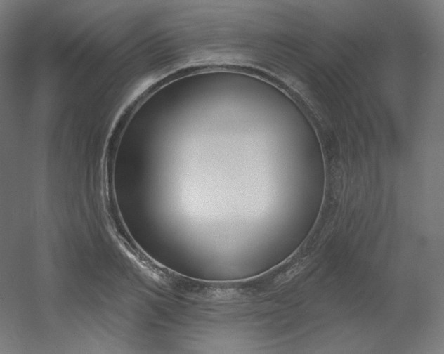 X0000054360982200508121509