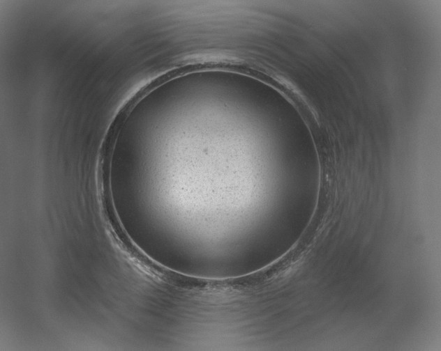 X0000054360983200508121509