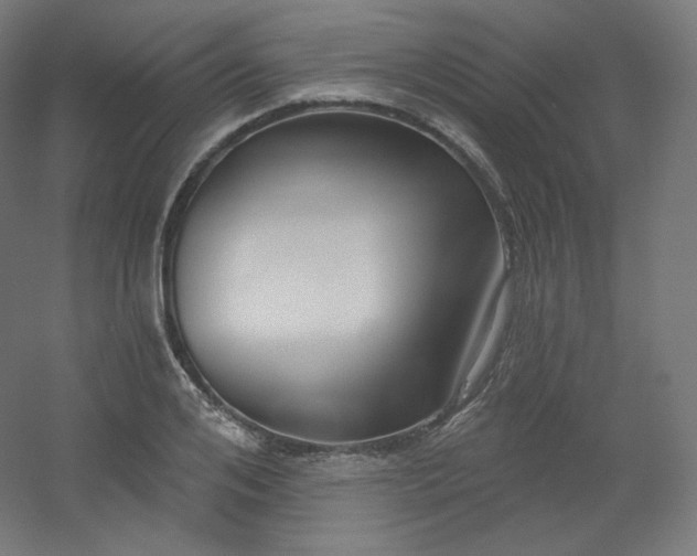 X0000054360984200508121509