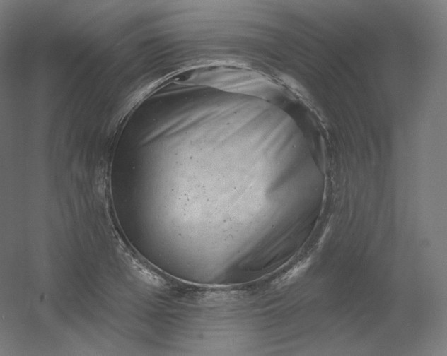 X0000054360985200508121509