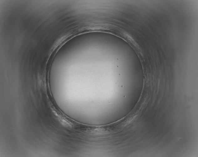 X0000054360986200508121509