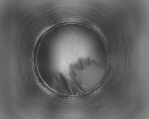 X0000054360987200508121509