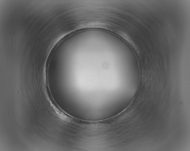 X0000054360988200508121509