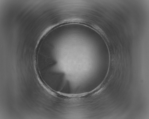 X0000054360989200508121509