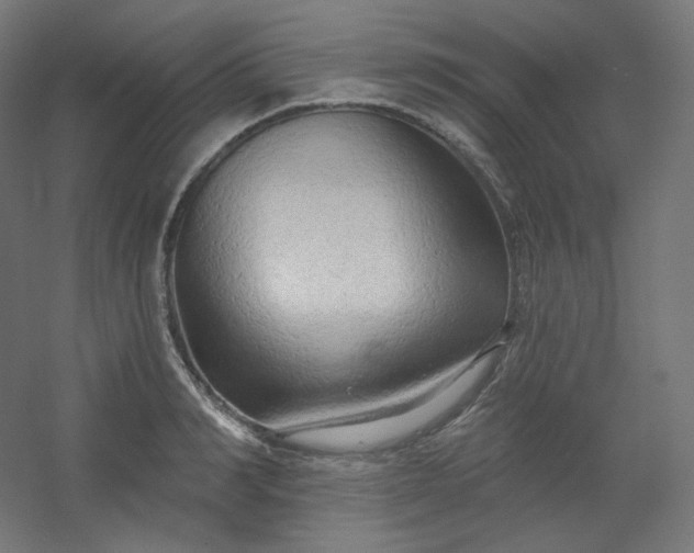 X0000054360990200508121509