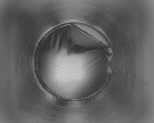X0000054360991200508121509