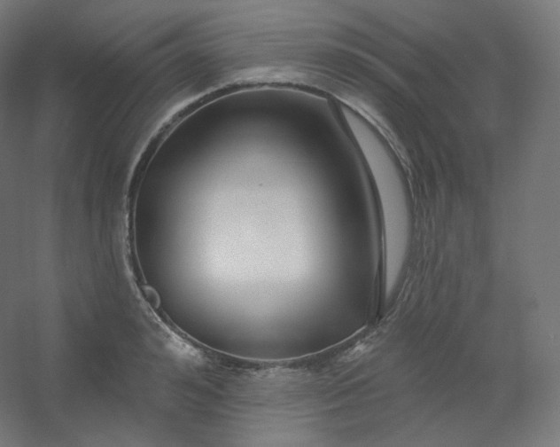 X0000054360992200508121509