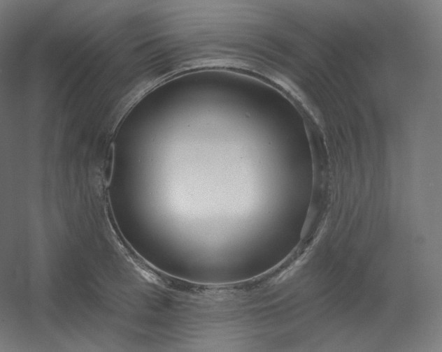 X0000054360993200508121509